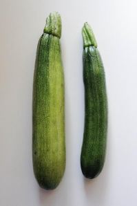 First zucchini of the season from the family garden!
