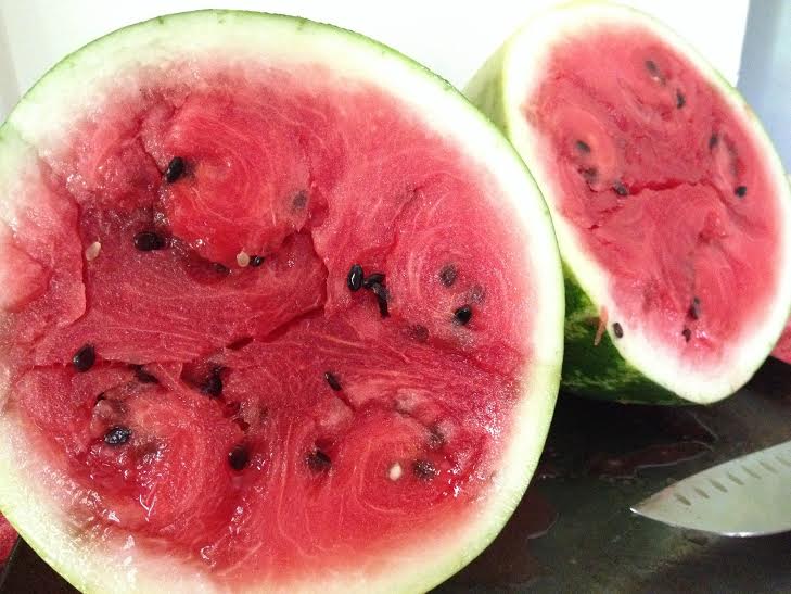 This was the SWEETEST watermelon I've had in a l-o-n-g time! If you're in Columbia, be sure to stop by the North Main Farmer's Market - they're open every Thursday from 1-7pm.