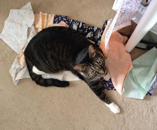 Mr. Norton really enjoyed the pile of stitched strips :)