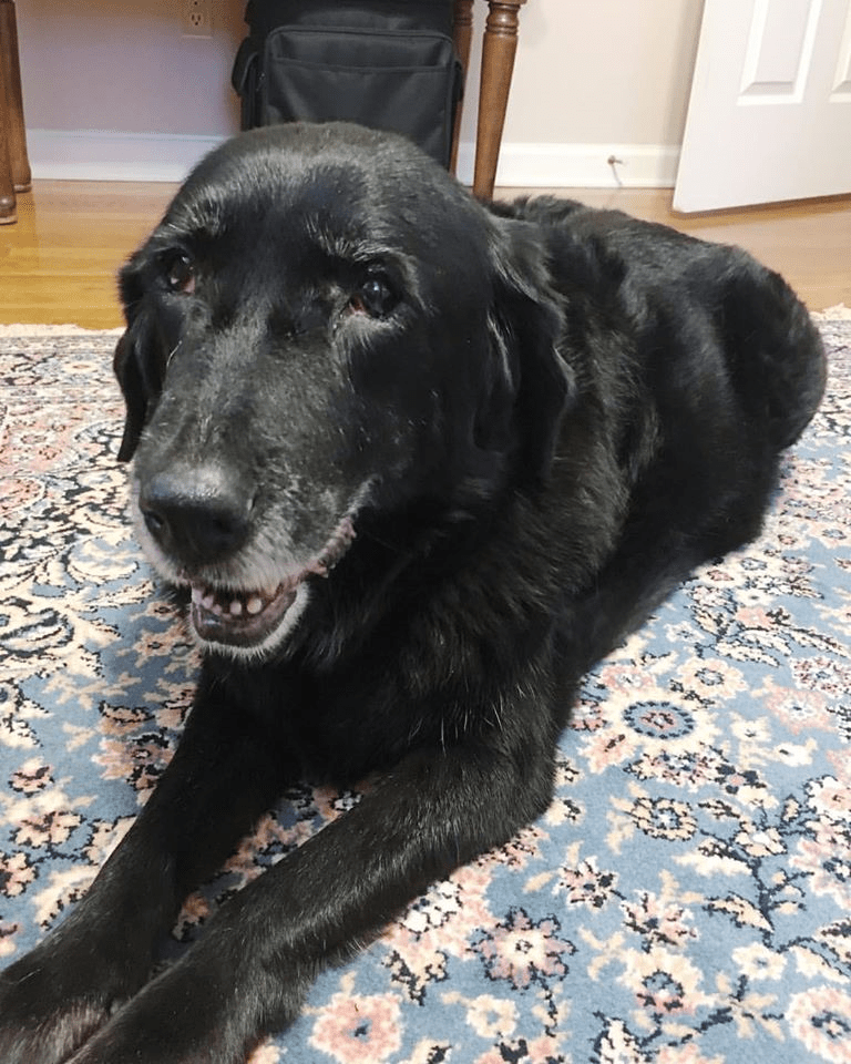 Our Goodbye to&nbsp;Charlotte